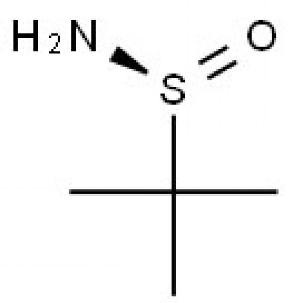 (S)-Tert butane sulfonamide