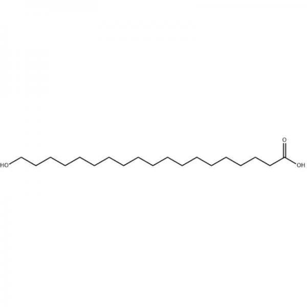 19-hydroxynonadecanoic acid 